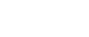 Chimney Master Dallas logo with chimney sweep